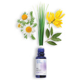 Essential Oil Blend Relax