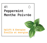 Huile essentielle Menthe poivrée (Mentha x piperita)