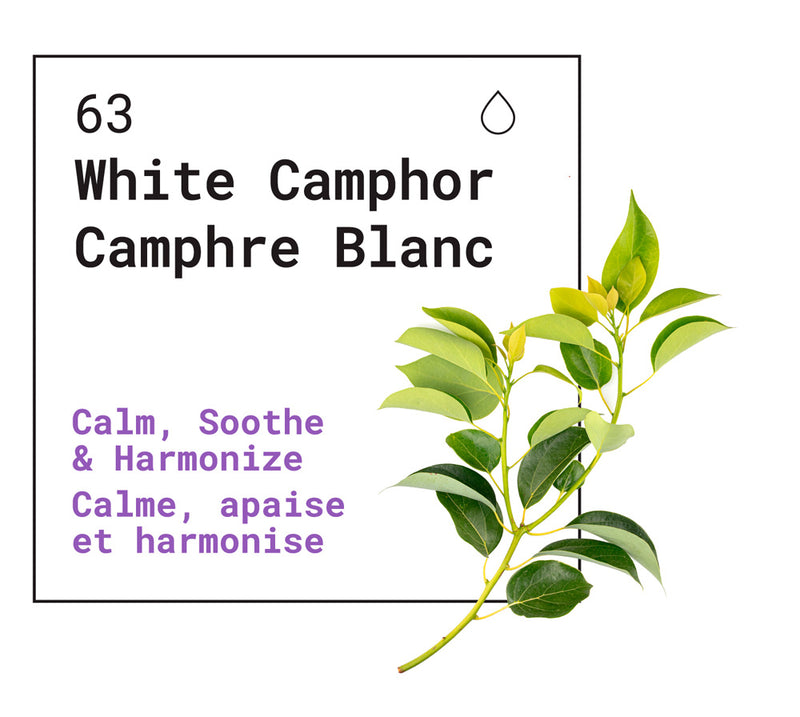 Roll On - Cold & Cough