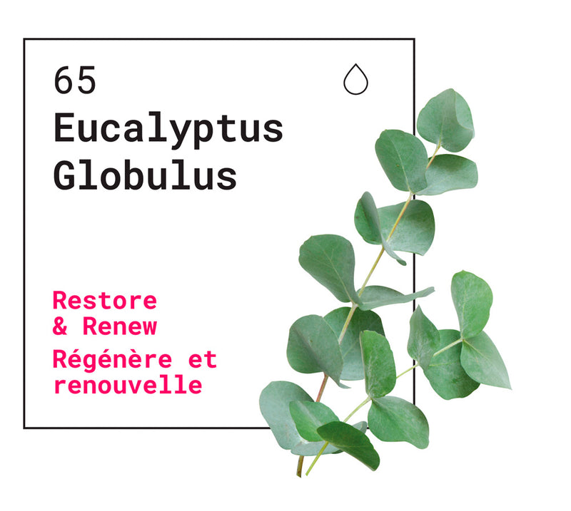 Roll On - Cold & Cough