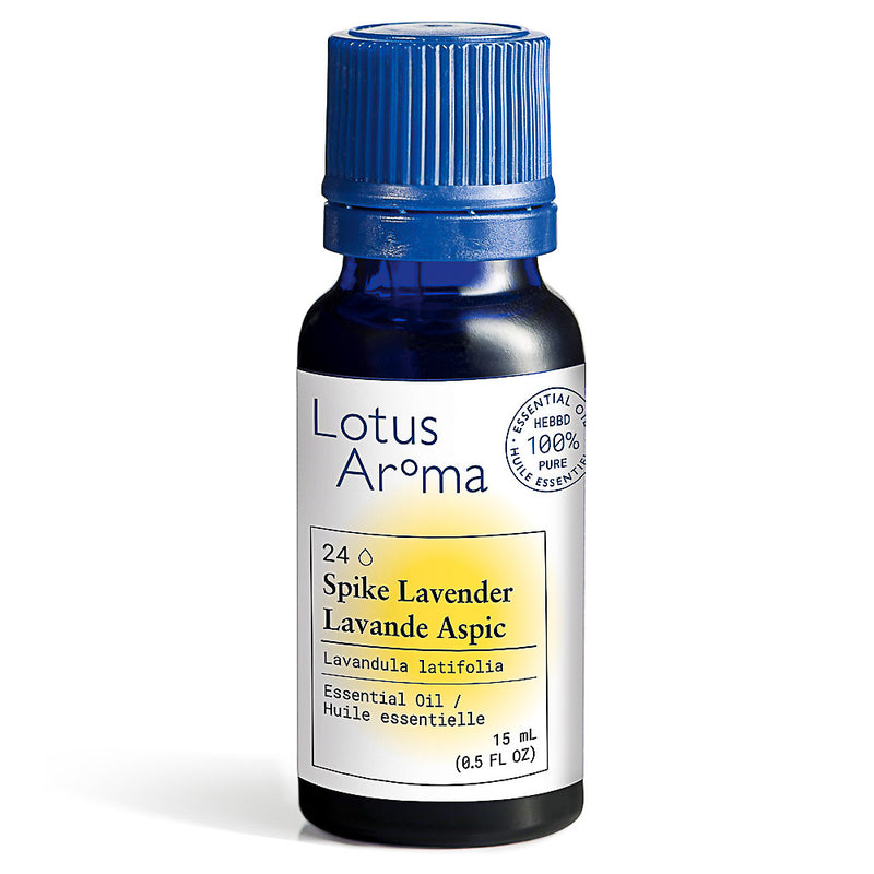 Essential Oil Spike Lavender (Lavandula latifolia)