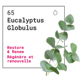 Gel bain moussant – Eucalyptus Globulus