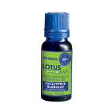 Essential Oil Eucalyptus Globulus (Eucalyptus globulus)