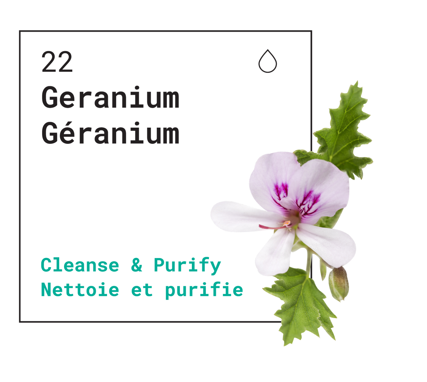 Summer Travel Diffuser Gift Set – Lotus Aroma